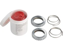 Dt-swiss DT Swiss 36T Star Ratchet Kit (2 Star Ratchets, 2 Springs, & Grease)