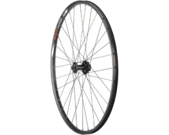 Quality Wheels Value Double Wall Series Disc Front Wheel (Black) (QR X 100mm) (29" / 622 ISO) (6-Bolt) (Tubeless)
