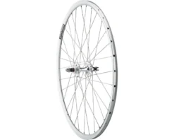Quality Wheels Value Double Wall Series Track Rear Wheel (Silver) (Freewheel) (10 X 120mm) (700c / 622 ISO) (Sealed) (Flip-Flop Hub)